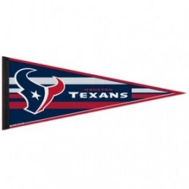 BANDERIN TEXANS